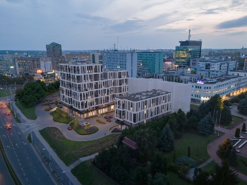 Zdjęcie z galerii